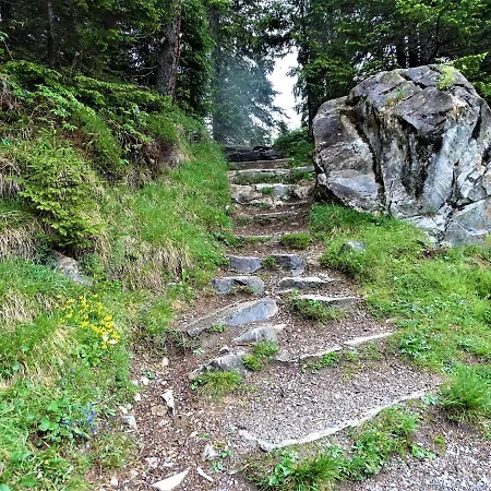 Lejlighed Gaestehaus Geir