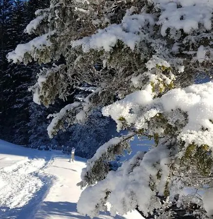 Lejlighed Gaestehaus Geir *